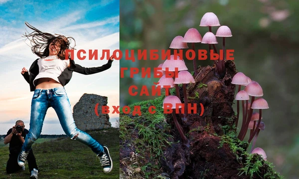 COCAINE Баксан