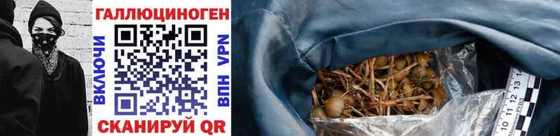 купить наркотик  это клад  Псилоцибиновые грибы мухоморы  Верхняя Пышма 